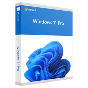 Windows 11 Professional - 1 PC